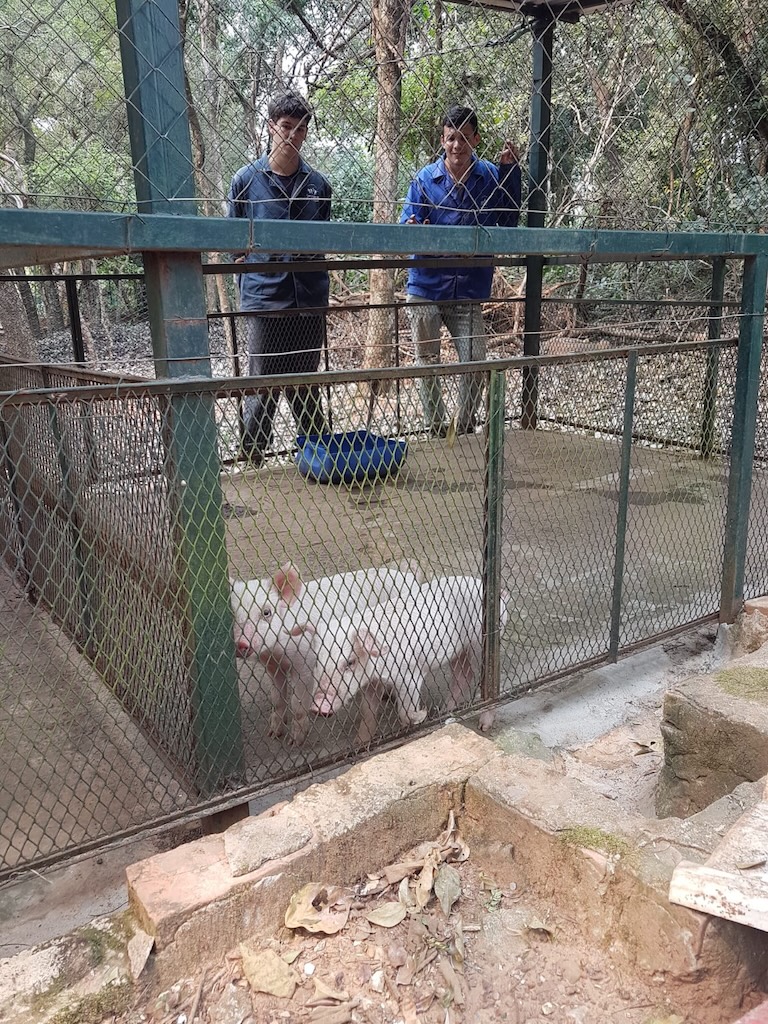 Imagen de galería 23